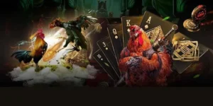 Cách Chơi Đá Gà GA28 Tại 789Win Chi Tiết Hướng Dẫn Luật Và Mẹo Thắng