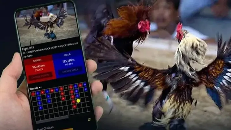 Đá Gà 789Win trải nghiệm cá cược đỉnh cao hấp dẫn nhất 2025